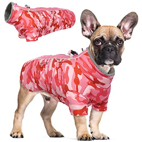 Hjyokuso Wasserdichter Hundemantel Winter Warme Jacke, Hundejacken für kleine Mittel Große Hunde, Hundepullover, Winddichte Wintermantel Hund mit Reflektierender Streifen und Reißverschluss M von Hjyokuso