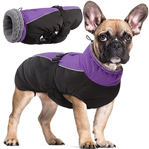 Wasserdichter Hundemantel Winter Warme Hundejacke, Hundebekleidung Outfit für kleine mittel große Hunde, Hundepullover mit Sicheren Reflexstreifen für Labrador Chihuahua Französische Bulldogge von Hjyokuso