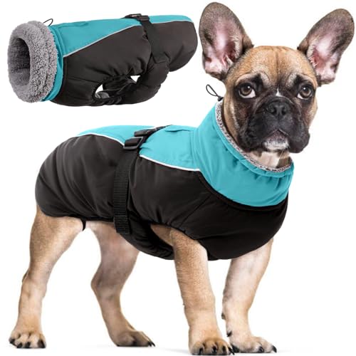 Wasserdichter Hundemantel Winter Warme Hundejacke, Hundebekleidung Outfit für kleine mittel große Hunde, Hundepullover mit Sicheren Reflexstreifen für Labrador Chihuahua Französische Bulldogge von Hjyokuso