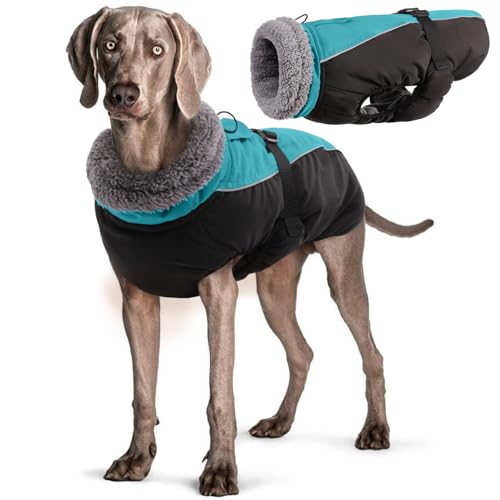 Wasserdichter Hundemantel Winter Warme Hundejacke, Hundebekleidung Outfit für kleine mittel große Hunde, Hundepullover mit Sicheren Reflexstreifen für Labrador Chihuahua Französische Bulldogge von Hjyokuso