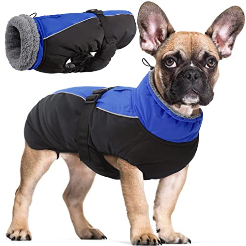 Wasserdichter Hundemantel Winter Warme Hundejacke, Hundebekleidung Outfit für kleine mittel große Hunde, Hundepullover mit Sicheren Reflexstreifen für Labrador Chihuahua Französische Bulldogge von Hjyokuso