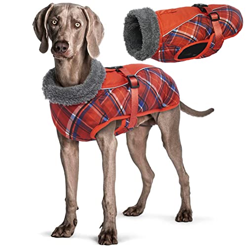 Wasserdichter Hundemantel Winter Warme Hundejacke, Hundebekleidung Outfit für kleine mittel große Hunde, Hundepullover mit Sicheren Reflexstreifen für Labrador Chihuahua Französische Bulldogge von Hjyokuso