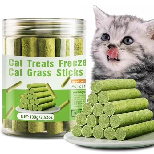 Katzen-Kaustäbchen aus natürlichem Gras, 100 g, Kaustäbchen für Haarballentfernung, Zahnpflege, steigern den Appetit, Katzenminzestäbchen, Spielzeug, Katzenminze, Leckerli-Spielzeug, essbares von Hkpetty