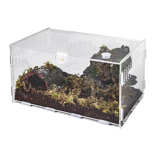 Schnecken Terrarium, Reptile Growth Mini Terrarium, Insekten-Terrarium Set, Transport Box Terrarium Glas für Spinnen Gecko Hamster Schlangen Schildkröten Terrarium Tragbarer (20 x 12 x 12cm) von Hnonoxy