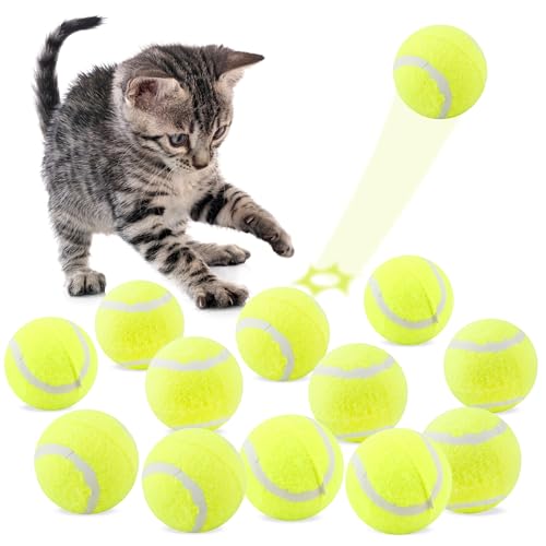 Hoarost Mini-Tennisbälle für Haustiere, 6,1 cm, Hundetraining, Tennisbälle, Haustierspiel, Fecth-Tennisbälle, Großpackung für Innen- und Außenbereich, interaktives Trainingsspielzeug, 18 Stück von Hoarost