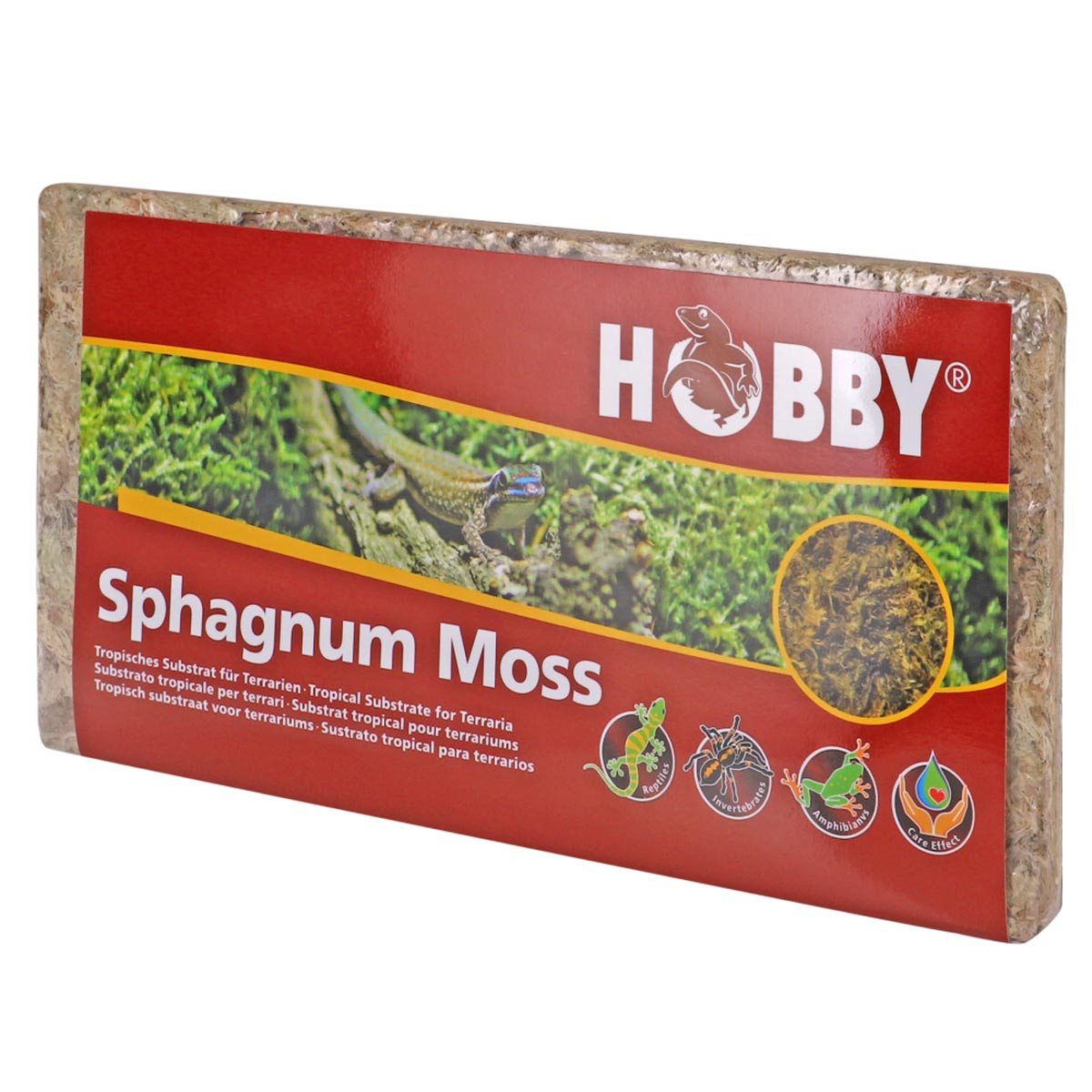 Hobby Sphaghnum Moss 100g von Hobby Terraristik