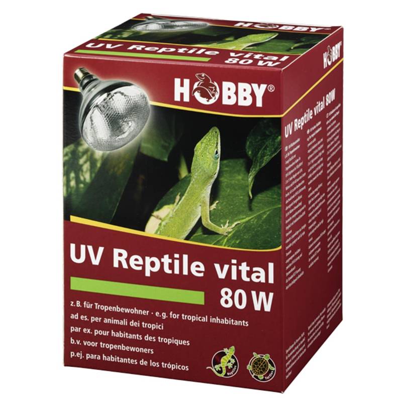 Hobby UV-Reptile vital 80W von Hobby Terraristik