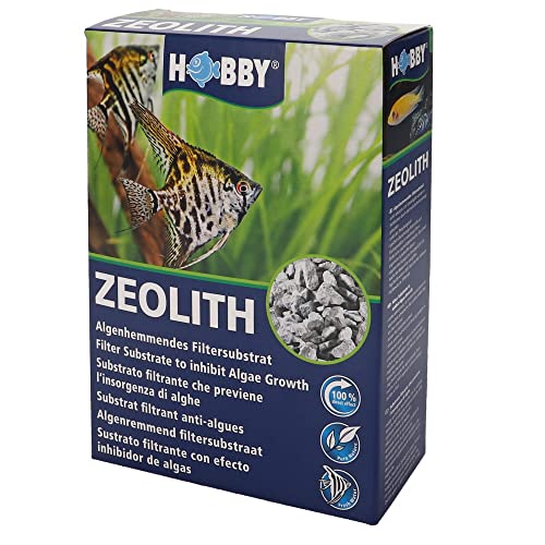 HOBBY Aquaristik Zeolith I 1000 g I Algenhemmendes Filtersubstrat für Aquarien I für Süß- und Meerwasseraquarien geeignet I hochwirksames Filtermaterial zur Wasseraufbereitung I Zeolithsteine 5-8mm von Hobby