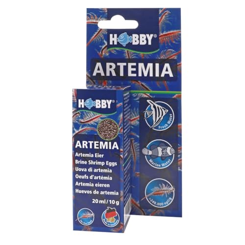 HOBBY Aquaristik Artemia Eier I 20 ml I Lebendfutter für Aquarienfische I Artemien-Eier zur Zucht von Artemia-Nauplien I Frische Artemia für nährstoffreiche und gesunde Ernährung I Artemiazysten von Hobby