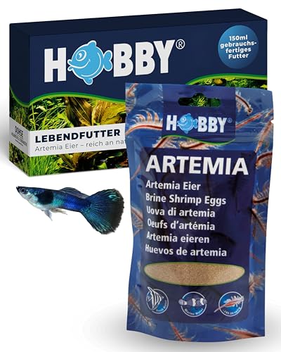 HOBBY Aquaristik Artemia Eier I 150 ml I Lebendfutter für Aquarienfische I Artemien-Eier zur Zucht von Artemia-Nauplien I Frische Artemia für nährstoffreiche und gesunde Ernährung I Artemiazysten von Hobby