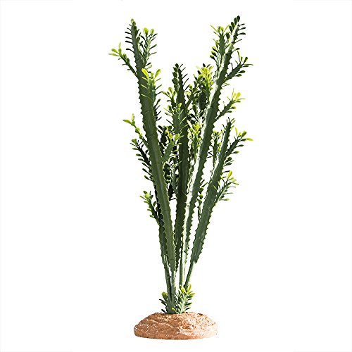 Hobby 37000 Euphorbia, L von Hobby