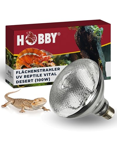 HOBBY Terraristik UV Reptile vital Desert I UV-Lampe für Terrarien I 100 W I UV- Lampe für die Reptilienhaltung I UV-Flächenstrahler für wüstenbewohnende Reptilien I energieeffizient & langlebig von Hobby