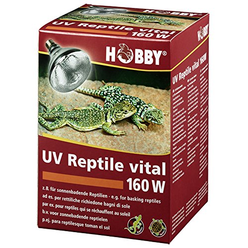 HOBBY Terraristik UV Reptile vital Power I UV-Lampe für Terrarien I 160 W I UV- Lampe für die Reptilienhaltung I UV-Flächenstrahler für sonnenbadende Reptilien I energieeffizient & langlebig von Hobby