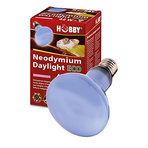 Hobby Neodymium Daylight Eco, Tageslicht-Halogenstrahler - 70W von Hobby