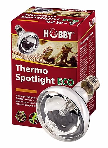 Hobby Thermo Spotlight Eco, Halogen-Wärmespotstrahler - 28W von Hobby