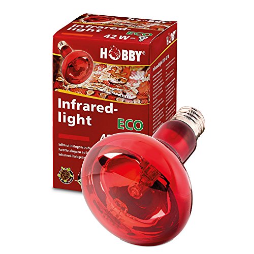 Hobby Infraredlight Eco, Infrarot-Halogenstrahler - 42W von Hobby