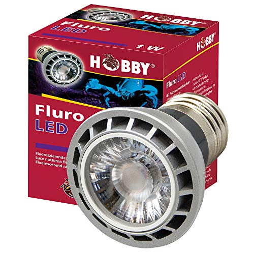 Hobby Terraristik Fluro LED 1 W von Hobby