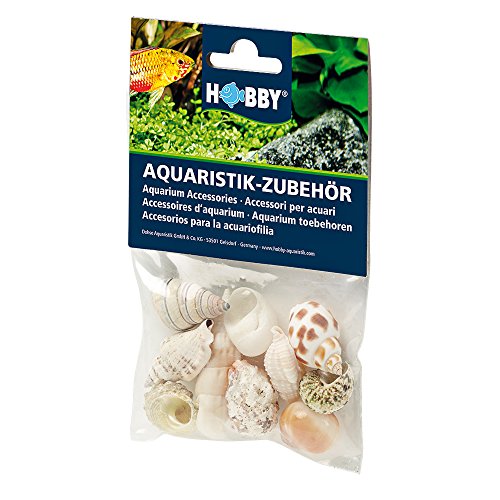 Hobby 40222 Sea Shells Set, M, M, 10 Stück von Hobby