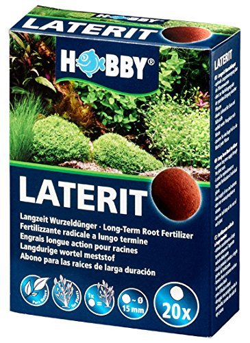 Hobby Laterit Kugeln - 20 Kugeln - 15 mm von Hobby