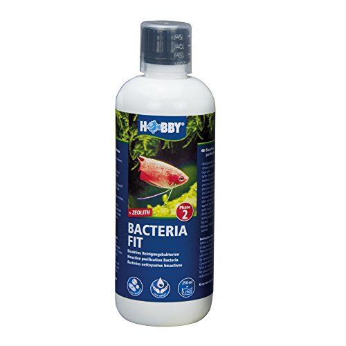 Hobby 51140 Bacteria Fit 250 ml von Hobby