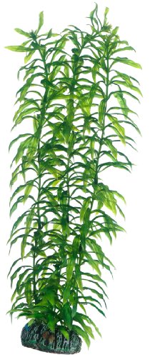 Hobby 51567 Heteranthera, 34 cm von Hobby