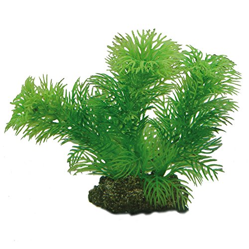 Hobby Egeria, 13 cm von Hobby