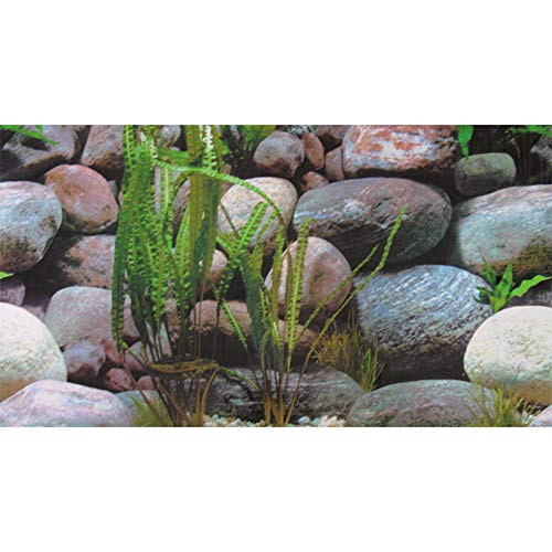 Hobby Fotorückwand - Steine 1 / Steine 2-150 x 60 cm - Rückwandfolie für Aquarien - Meerwasseraquarien und Süßwasseraquarien von Hobby