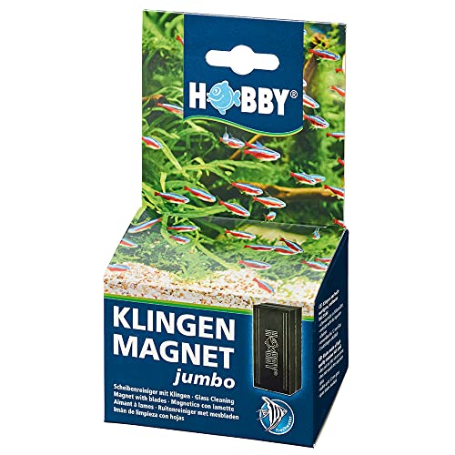 HOBBY Aquaristik Klingenmagnet Jumbo I Algenmagnet bis 12mm Glasstärke I Aquarienreiniger zur Algenentfernung mit Edelstahlklingen I Scheibenreiniger für Aquarien ohne Kratzgefahr von Hobby