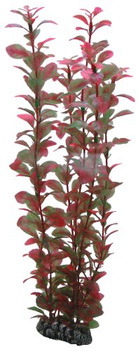 Hobby Ludwigia, 34 cm von Hobby