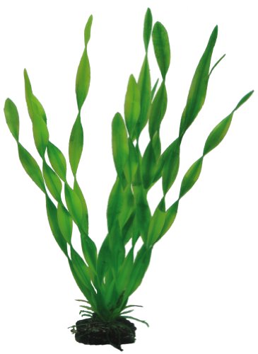 Hobby Vallisneria - 34cm von Hobby