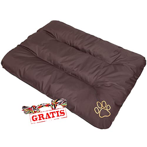 HobbyDog ECOBRA7 + Spieltau gratis Hundebett Ruheplatz Hundematratze Hundekissen Hundematte ECO Schlafplatz (3 Verschiedene Größen) (R2 (100 x 70 cm)) von Hobbydog