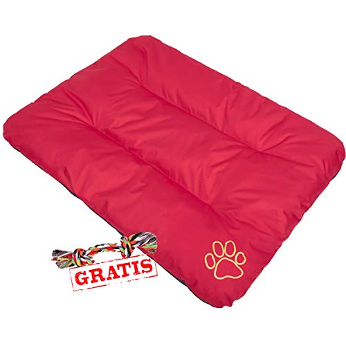 HobbyDog ECOCZE6 + Ball gratis Hundebett Ruheplatz Hundematratze Hundekissen Hundematte ECO Schlafplatz (3 Verschiedene Größen) (R2 (100 x 70 cm)) von Hobbydog