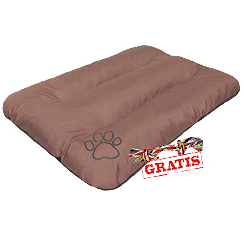 HobbyDog EKOJBR11 + Spieltau gratis Hundebett Ruheplatz Hundematratze Hundekissen Hundematte ECO Schlafplatz (3 Verschiedene Größen) (R2 (100 x 70 cm)) (R2 (100 x 70 cm)) von Hobbydog