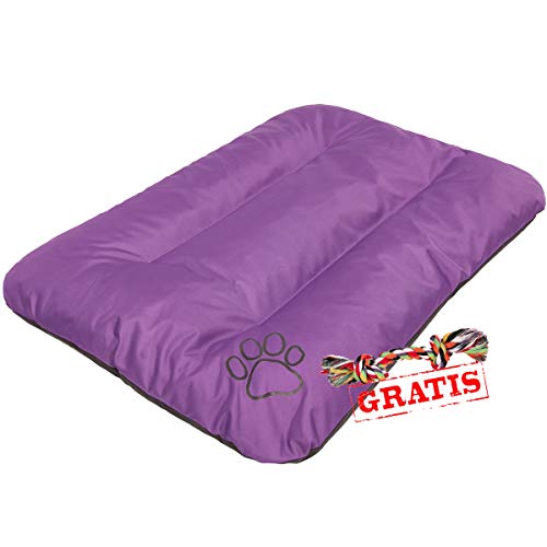 HobbyDog EKOSLI9 + Ball gratis Hundebett Ruheplatz Hundematratze Hundekissen Hundematte ECO Schlafplatz (3 Verschiedene Größen) (R2 (100 x 70 cm)) von Hobbydog