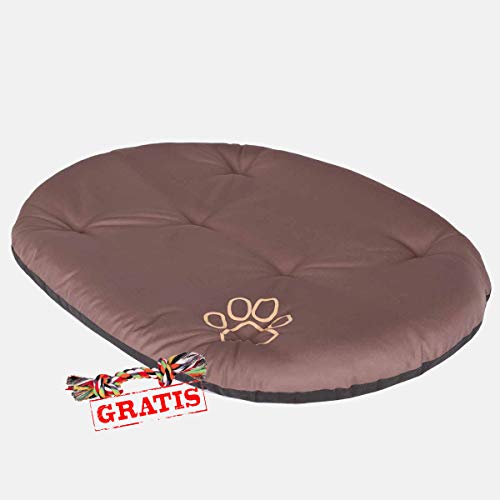 HobbyDog PODJBR4 Kissen + Spieltau gratis Hundematte Ruheplatz Hundebett Hundekissen Hundematratze (9 Verschiedene Größen) (R6 (75 x 58 cm)) von Hobbydog