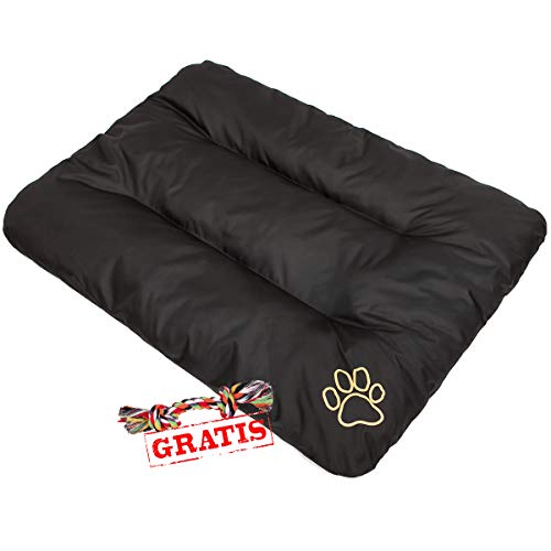 Hobbydog ECOCZA4 + Spieltau gratis Hundebett Ruheplatz Hundematratze Hundekissen Hundematte ECO Schlafplatz (3 Verschiedene Größen) (R2 (100 x 70 cm)) von Hobbydog