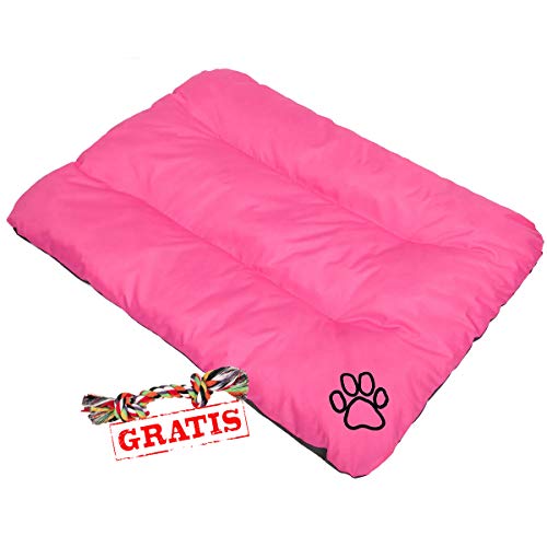 Hobbydog ECOROZ2 + Spieltau gratis Hundebett Ruheplatz Hundematratze Hundekissen Hundematte ECO Schlafplatz (3 Verschiedene Größen) (R2 (100 x 70 cm)) von Hobbydog