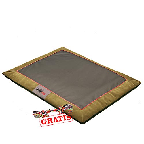 Hobbydog Matte ATAFZS2 + Spieltau gratis Hundematte Hundebett Ruheplatz Hundematratze Hundekissen Schlafplatz (3 Verschiedene Größen) (XL (110 x 90 cm)) von Hobbydog