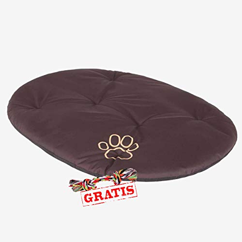 Hobbydog PODCBR2 Kissen + Spieltau gratis Hundematte Ruheplatz Hundebett Hundekissen Hundematratze (9 Verschiedene Größen) (R5 (71 x 54 cm)) von Hobbydog