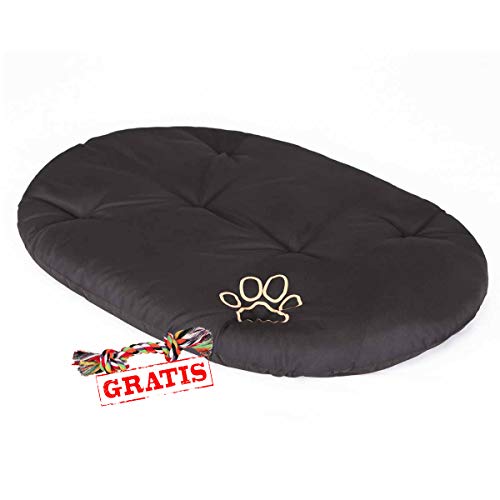 Hobbydog PODCZA5 Kissen + Spieltau gratis Hundematte Ruheplatz Hundebett Hundekissen Hundematratze (9 Verschiedene Größen) (R8 (83 x 60 cm)) von Hobbydog