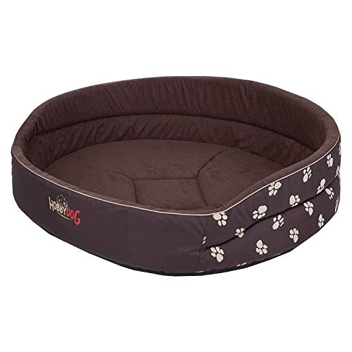 Hobbydog R5 PIABWL2 Dog Bed of Foam R5 64X50 cm Brown with Paws, L, Brown, 1.3 kg von Hobbydog