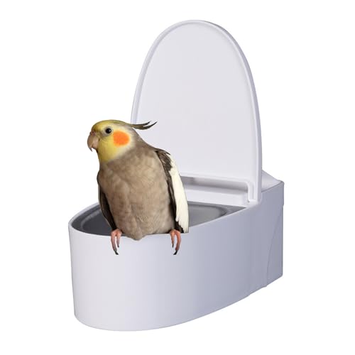 Hobngmuc Haustier Vogel Toilette, Vogel Stubenrein Training Tool Wandtoilette, Kleinen & Mittleren Vogelarten Für Unzertrennliche, Nymphensittiche, Wellensittiche Hobngmuc Haustier Vogel Toilette, Vogel Stubenrein Training Tool Wandtoilette, Kleinen & Mittleren Vogelarten Für Unzertrennliche, Nymphensittiche, Wellensittiche von Hobngmuc