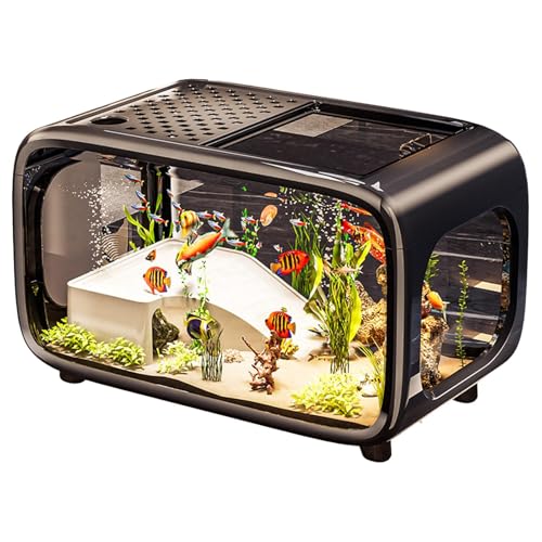 Hobngmuc Kleines Aquarium - Kleines Aquarium Für Kampffische | Acryl Klar Habitat Mit Schnecken Kampffisch Wasserpflanzen Lebensraum Hobngmuc Kleines Aquarium - Kleines Aquarium Für Kampffische | Acryl Klar Habitat Mit Schnecken Kampffisch Wasserpflanzen Lebensraum von Hobngmuc