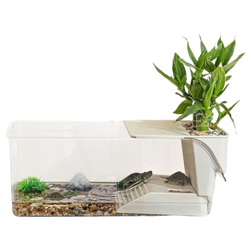 Hobngmuc Schildkröten Aquarium,Kleines Schildkrötenterrarium | Transparentes Terrarium mit Sonnenbereich für Reptilienfütterung, Landschildkröten, Einsiedlerkrebse, Frösche zur Beobachtung täglicher Hobngmuc Schildkröten Aquarium,Kleines Schildkrötenterrarium | Transparentes Terrarium mit Sonnenbereich für Reptilienfütterung, Landschildkröten, Einsiedlerkrebse, Frösche zur Beobachtung täglicher von Hobngmuc
