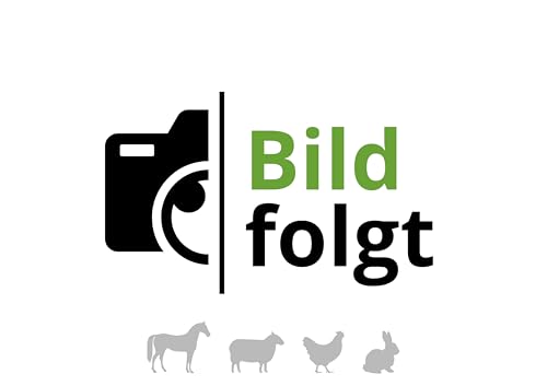 Höveler Dog LACHSÖL Plus 250 ml – Ergänzungsfuttermittel für Hunde – Fell und Haut – Verdauung - essenzielle Fettsäuren aus Lachs- und Leinöl von Höveler