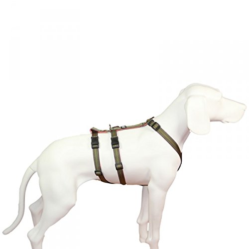 Hoffmann Das Original - NoExit Hundegeschirr ® - 100% ausbruchsicher für Angsthunde, Panikgeschirr, Khaki Muster, Bauchumfang 35-50 cm, 15 mm Bandbreite von Hoffmann