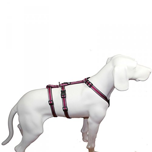 Hoffmann Das Original - NoExit Hundegeschirr ® - 100% ausbruchsicher für Angsthunde, Panikgeschirr, Pflaume Muster, Bauchumfang 40-60 cm, 15 mm Bandbreite von Hoffmann