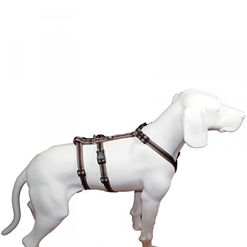 Hoffmann Das Original - NoExit Hundegeschirr ® - 100% ausbruchsicher für Angsthunde, Panikgeschirr, braun Muster, Bauchumfang 35-50 cm, 15 mm Bandbreite von Hoffmann