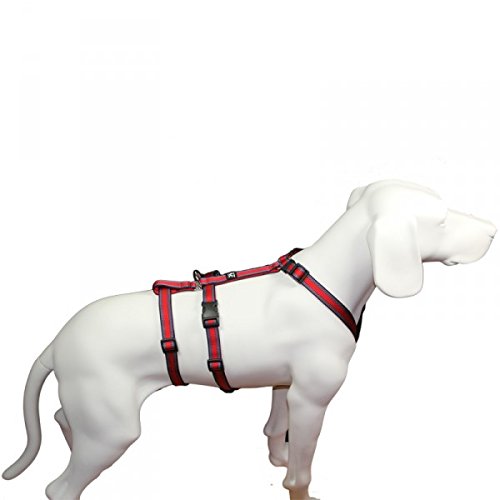 Hoffmann Das Original - NoExit Hundegeschirr ® - 100% ausbruchsicher für Angsthunde, Panikgeschirr, rot Muster, Bauchumfang 35-50 cm, 15 mm Bandbreite von Hoffmann