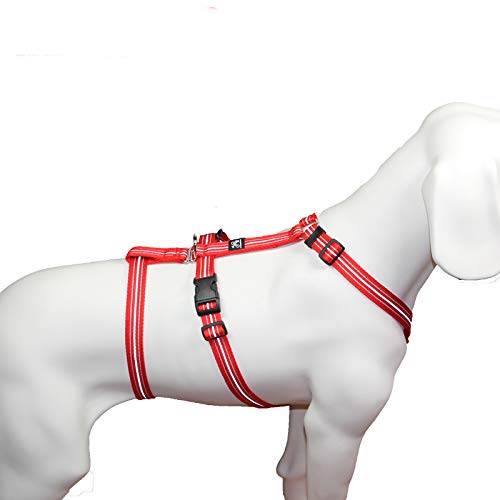 Hoffmann Das Original - NoExit Hundegeschirr ® - 100% ausbruchsicher für Angsthunde, Sicherheitsgeschirr für Pflegehunde, Panikgeschirr, Reflexband rot, Bauchumfang 70-90 cm, 25 mm Bandbreite von Hoffmann